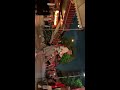 ２０１９ ７.２３ 茨住吉夏祭り 本宮①