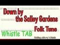 Down by the Salley Gardens - Folk Tune - Tin Whistle - Play Along Tab Tutorial