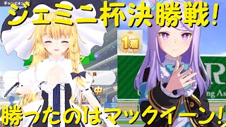 ジェミニ杯決勝戦！勝ったのはマックイーン！【ウマ娘プリティーダービー】