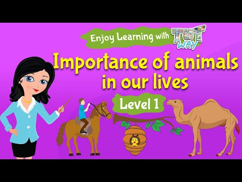 What is the importance of animals in our life?