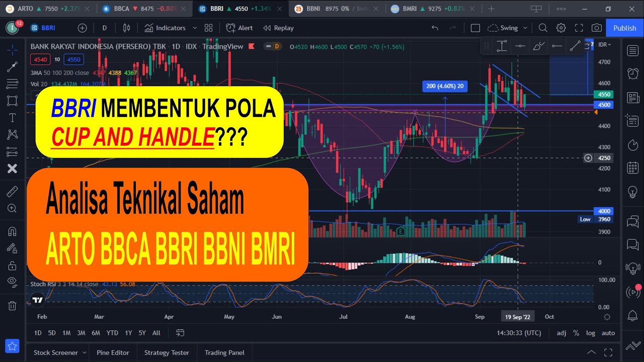 Belajar Saham Pengenalan Dasar Analisa Teknikal Saham Untuk Pemula. YouTube