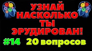 УЗНАЙ НАСКОЛЬКО ТЫ ЭРУДИРОВАН (ТЕСТ) #14