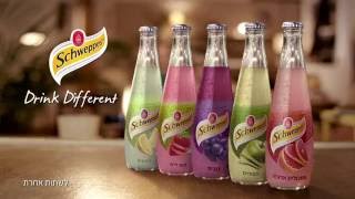 Karpick Avi \u0026 Ohav Flantz: Schweppes 2