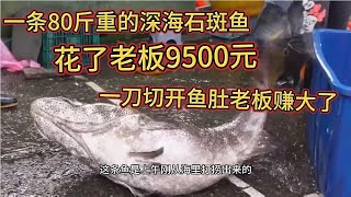 老板花9500元，买来一条80斤重的深海石斑鱼，切开鱼肚老板赚发了