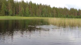 Catching pike on a nymph