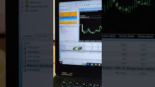 Best Fast Robot Forex Trading Making Profit Fix Lot Size FTMO Challenge Pass #forextrading #ftmo #ea
