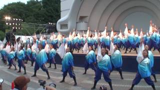 スーパーよさこい 2016  [8/28] (代々木公園ステージ) // 学生よさこいチームおどりんちゅ