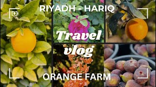 ഓറഞ്ച് ഫാമിലേക്ക് ഒരു യാത്ര| A TRIP TO AN ORANGE FARM WITH HARIQ | #fathizzkitchen\u0026traveldiarys