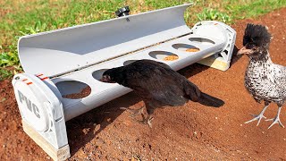 Super Idea | Making an Extraordinary Chicken Feeder from PVC