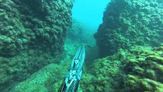 ROY GVILI Spearfishing Mediterranean sea