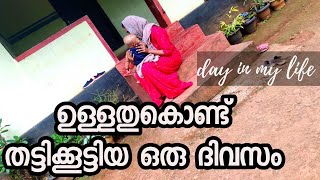 സാധാരണക്കാരുടെ ജീവിതം ചിലപ്പോ ഇങ്ങനെയൊക്കെയാ/day in my life/village girl lifestyle malayalam