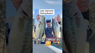 Lake Hartwell fishing report/update