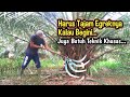 Here's How to Pruning Small Palm Oil Using Egrek for the Principal of the Insert