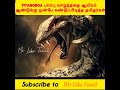 titanoboa பாம்பு வாழ்ந்ததை ஆயிரம் ஆண்டுக்கு முன்பே கண்டுப்பிடித்த தமிழர்கள் mrliketamil shorts