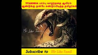 TITANOBOA பாம்பு வாழ்ந்ததை ஆயிரம் ஆண்டுக்கு முன்பே கண்டுப்பிடித்த தமிழர்கள் | #mrliketamil #shorts