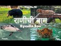 राणीची बाग । Complete Guide to Rani Baug | Byuculla Zoo | Mumbai Zoo | Rani Bagh 2023