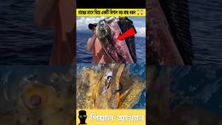 মাছের মাংস দিয়ে একটি বিশাল বড় মাছ ধরল 😱😱 #fishing #sorts #story #banglavoice