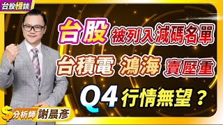 2024.11.21【台股被列入減碼名單 台積電鴻海賣壓重 Q4行情無望？】 台股怪談 謝晨彥分析師