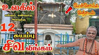 உலகின் மிக பெரிய 12 அடி சுயம்பு சிவலிங்கம் சேலத்தில் | Pongapali Hanuman Temple Mecheri