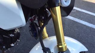 Honda Grom Hella Sharp Tones