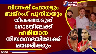 വിനേഷ് ഫോ​ഗട്ടും ബജ്റം​ഗ് പുനിയയും തിരഞ്ഞെടുപ്പ് ​ഗോദയിലേക്ക്, |NEWS|GOODNESS NEWS