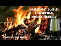 ambient Dark campfire night sounds