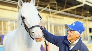 【有馬記念】白毛馬初のグランプリ参戦　アルゼンチン共和国杯を制したハヤヤッコ