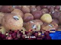 🍏🚀 grow apples fast u0026 big with this secret farming technique