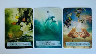 The Next Blessings Coming to You - Pick a Card - Timeless Tarot