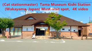 🔴貴志駅スーパー駅長たま（日本和歌山11）(Cat stationmaster)[Tama Museum Kishi Station] (Wakayama11, Japan) Must-visit