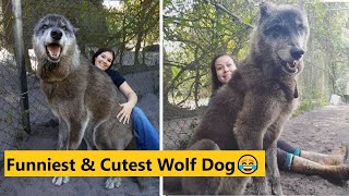 உலகின் வேடிக்கையான விலங்குகள் | Funniest Animals in the World  | Tamil Top Facts