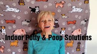 Indoor Potty \u0026 Poop Solutions