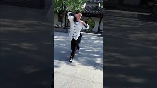 Traditional Chinese Martial Arts, Snake Quan #kungfu #wushu  #china #sports #shorts #martialarts