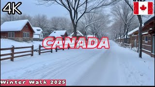 Experience the serene beauty of a Canadian winter in stunning 4K HDR