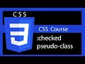 CSS Style form elements ( :checked pseudo-class )