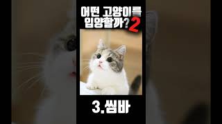 어떤 고양이를 입양할까? 2