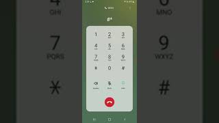 Samsung One UI Core 4.1 Incoming Call + Outgoing Call (Android 12)