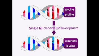 Molecular methods in drug discovery \u0026 development