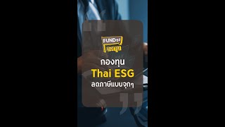 #ThaiESG เงื่อนไขใหม่ น่าลงทุนจริงไหม บลจ.กรุงศรี #Fundธงลงทุน กองทุนไหน? #krungsriasset