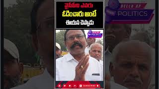 వైసీపీ నీ ఎవరు ఓడించారంటే@HelloAp #shorts #trending #viral #trend #viralvideo