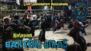 Kalapan Bantengan BANTENG GIRAS live Lumbangsari Bululawang