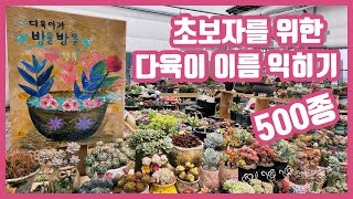 국민다육 500종 이름 익히기 1편(250종)  succulent plant, 多肉植物