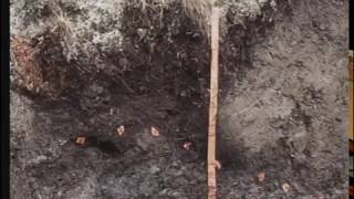 Example of a Translocation Soil Formation Process – Soil Mixing by Ice or Cryoturbation