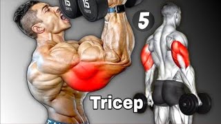 Triceps की तगड़ा Best Exercise | Fast grow big triceps