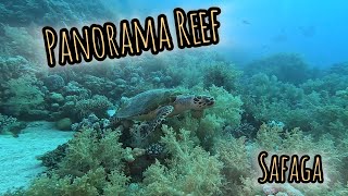 Panorama Reef, Red Sea Liveaboard 16.-23.03.2024 (BDE).