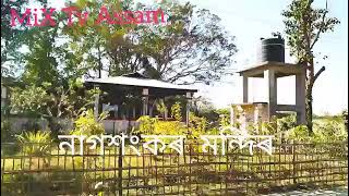 Nagsankar mandir Jamugurihat nagsankar temple Jamugurihat assam নাগশংকৰ মন্দিৰ