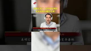 拉姆达来了 比印度发现的变异毒株传播性更强？| CCTV中文国际