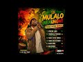 Ndo swika Ft Acolly Mandiza 