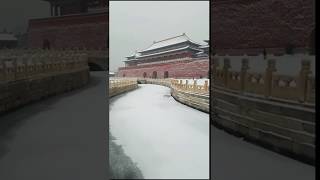 600岁的紫禁城安静地享受2020年的第一场雪#北京2020年的第一场雪 #2020故宫初雪