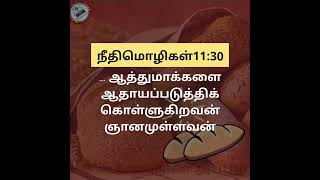 அனுதின அப்பம் , 2nd September 2022, Friday நீதிமொழிகள்11:30